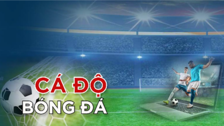 Khám phá thế giới trang cá độ bóng đá uy tín - Hành trang từ trangcadobongda.lol
